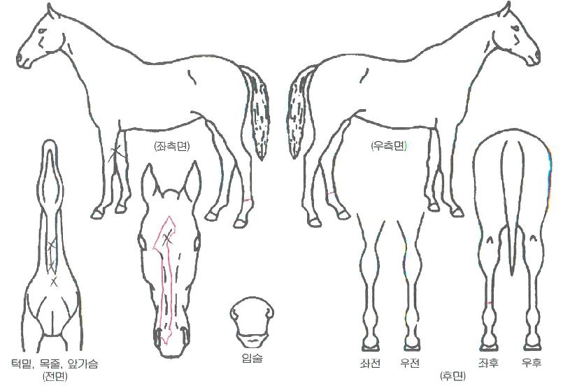 ���̺��Ŀ��� ����,���,�޸�,�λ�,�ٸ��� Ư¡����