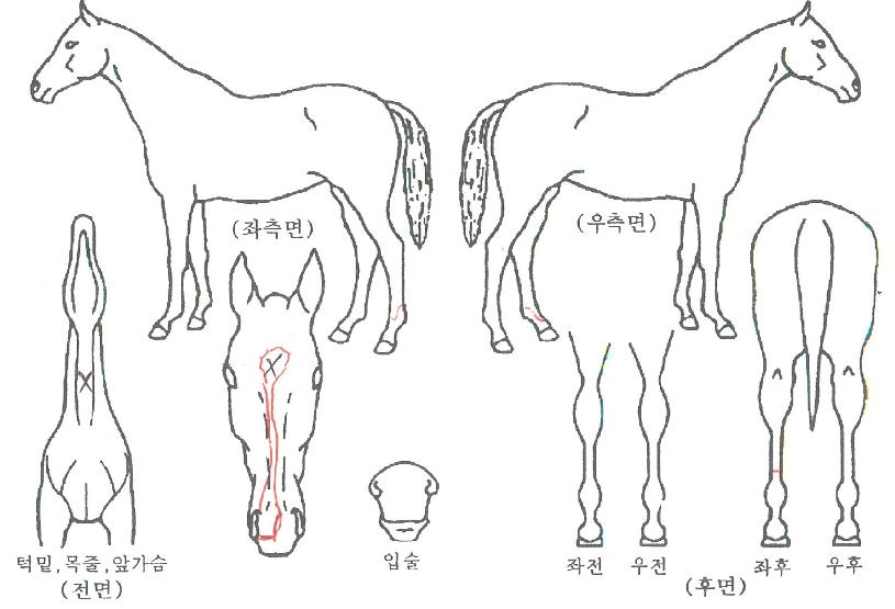 ���������� ����,���,�޸�,�λ�,�ٸ��� Ư¡����