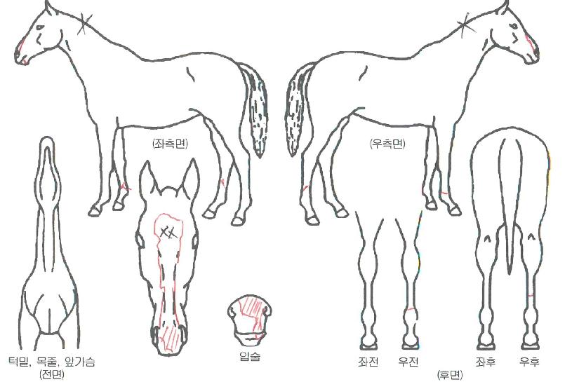 �ٸ���ķ���� ����,���,�޸�,�λ�,�ٸ��� Ư¡����