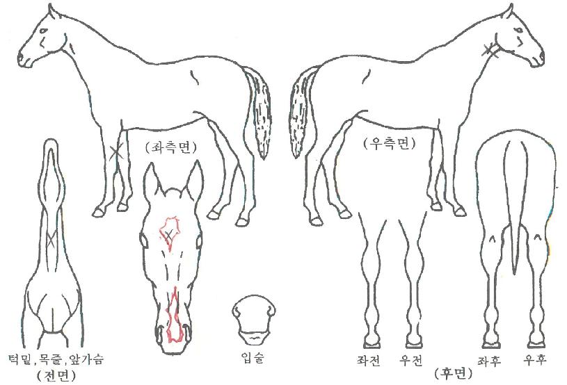 ȭ�����¾��� ����,���,�޸�,�λ�,�ٸ��� Ư¡����