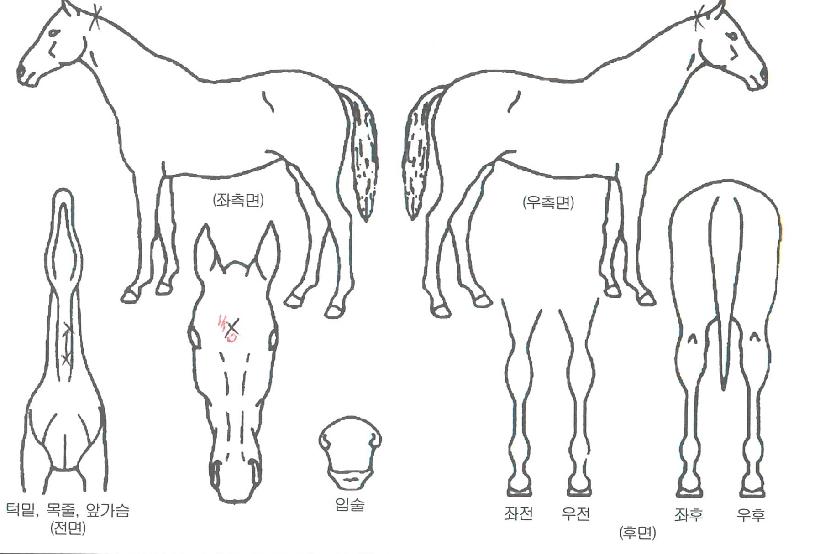 õ���� ����,���,�޸�,�λ�,�ٸ��� Ư¡����