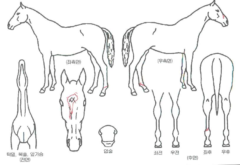 ��ģ������ ����,���,�޸�,�λ�,�ٸ��� Ư¡����