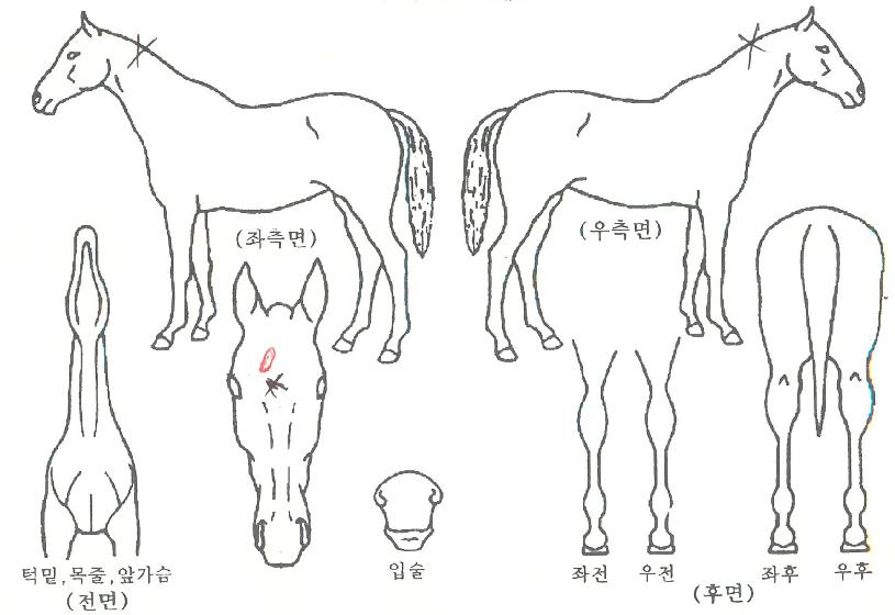 ���ֽ�Ÿ�� ����,���,�޸�,�λ�,�ٸ��� Ư¡����