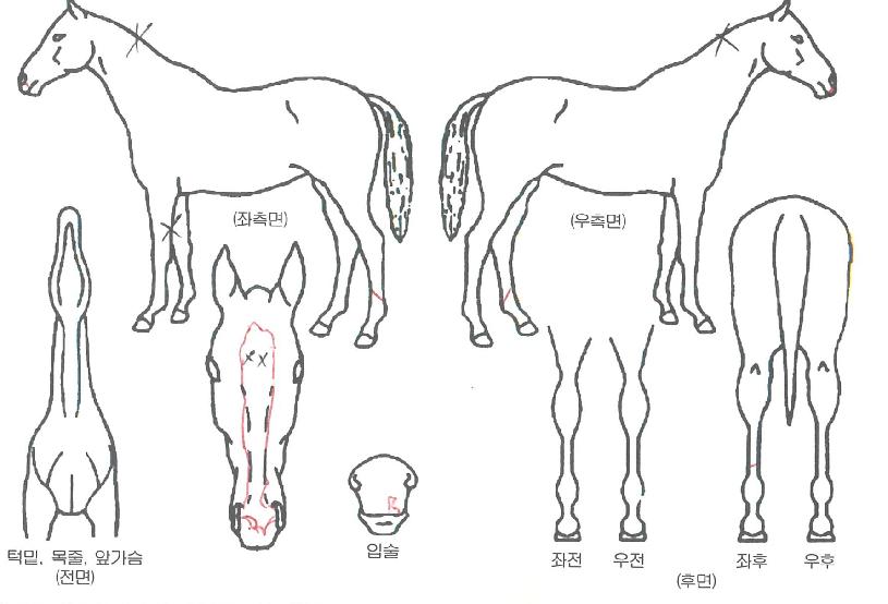 �������� ����,���,�޸�,�λ�,�ٸ��� Ư¡����