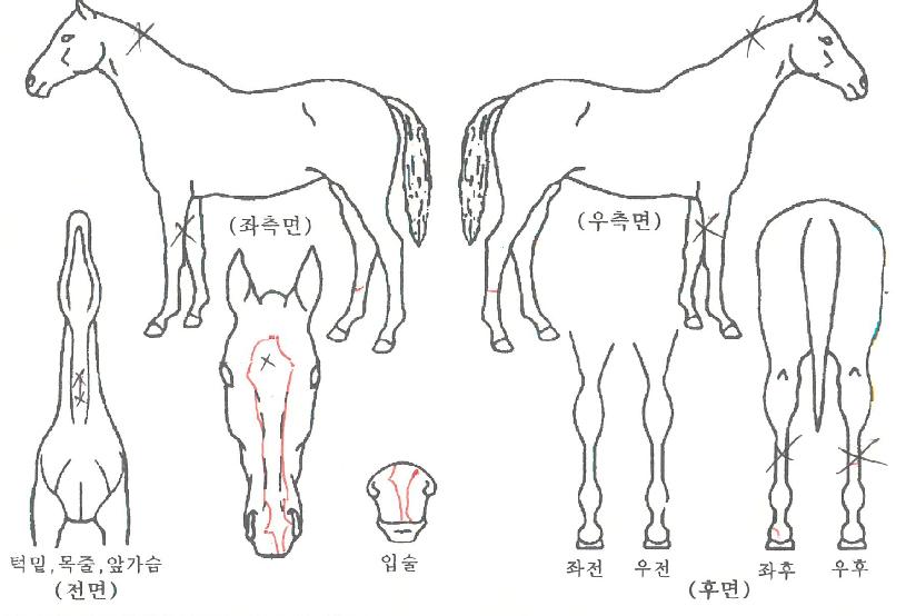 ��Ʈ���� ����,���,�޸�,�λ�,�ٸ��� Ư¡����