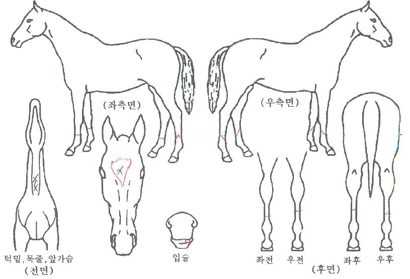 ������Ÿ���� ����,���,�޸�,�λ�,�ٸ��� Ư¡����