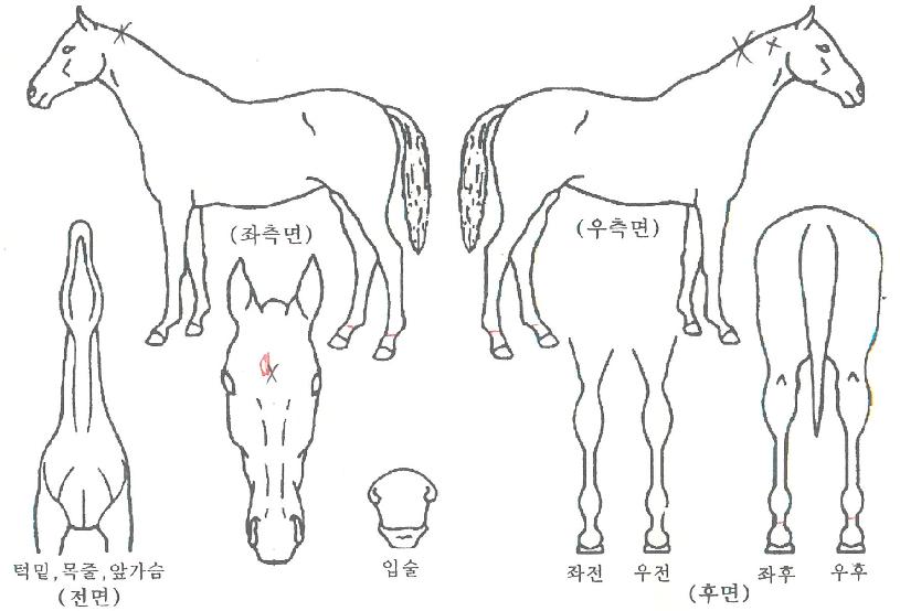 ���������� ����,���,�޸�,�λ�,�ٸ��� Ư¡����