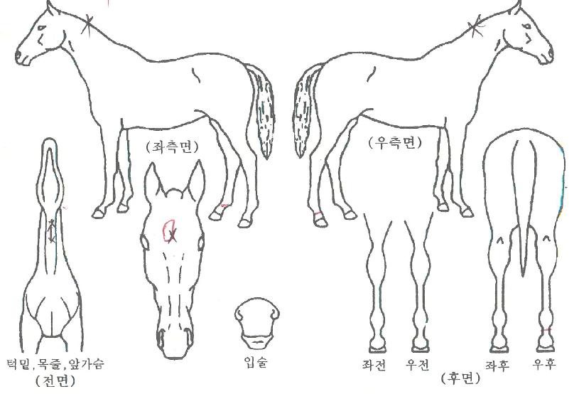 ���ʽ������� ����,���,�޸�,�λ�,�ٸ��� Ư¡����