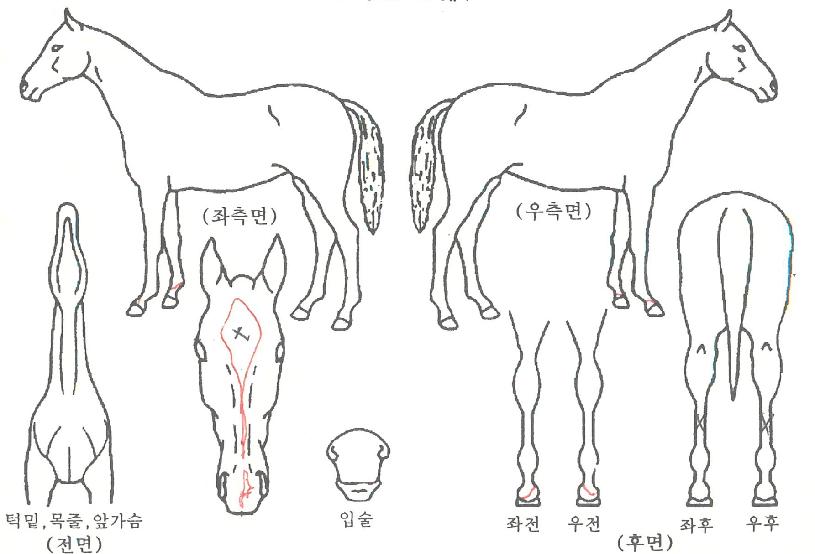 ��Ÿ������ ����,���,�޸�,�λ�,�ٸ��� Ư¡����