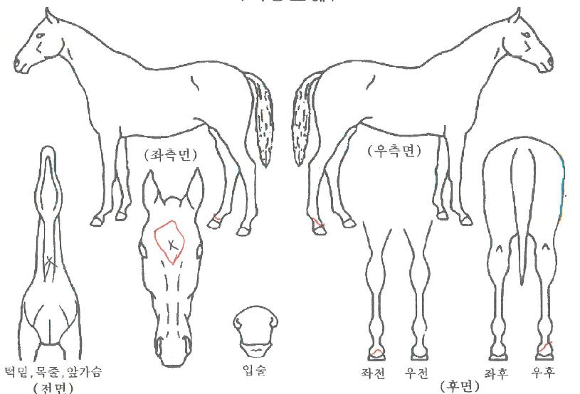 ȫ�ֵ����� ����,���,�޸�,�λ�,�ٸ��� Ư¡����