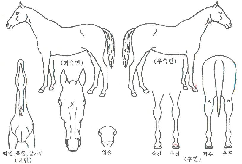 Áö¶õÁö±³ÀÇ Ãø¸é,¿ì¸é,µÞ¸é,µÎ»ó,´Ù¸®ÀÇ Æ¯Â¡µµÇØ
