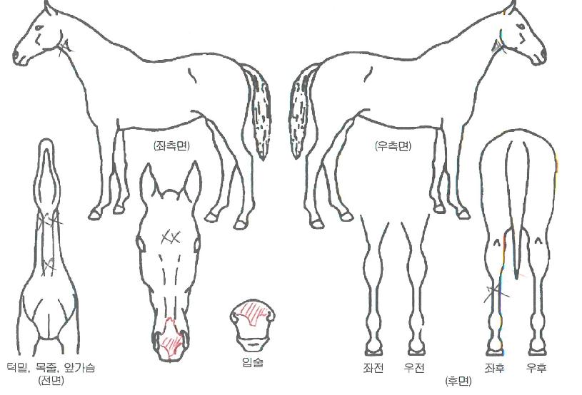 ����¡���丮�� ����,���,�޸�,�λ�,�ٸ��� Ư¡����