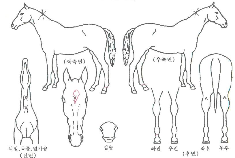 �������� ����,���,�޸�,�λ�,�ٸ��� Ư¡����