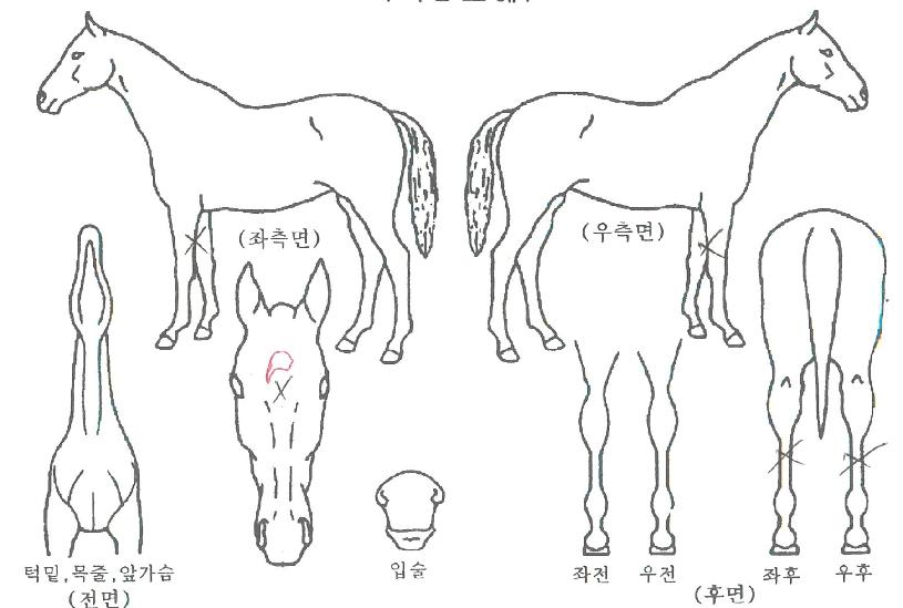 ���̽������� ����,���,�޸�,�λ�,�ٸ��� Ư¡����