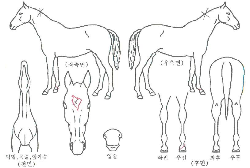 ȭ��Ʈ��ġ�� ����,���,�޸�,�λ�,�ٸ��� Ư¡����