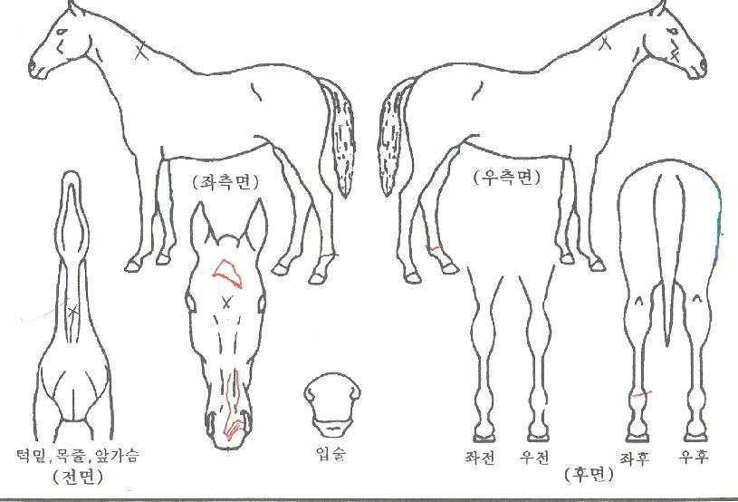 ��Ƽ�������� ����,���,�޸�,�λ�,�ٸ��� Ư¡����