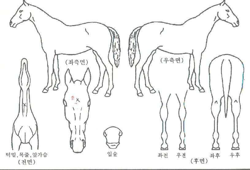 Ǯ��Ű�� ����,���,�޸�,�λ�,�ٸ��� Ư¡����