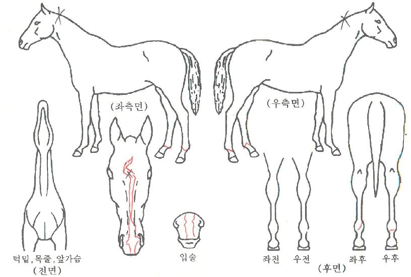 �ν������� ����,���,�޸�,�λ�,�ٸ��� Ư¡����