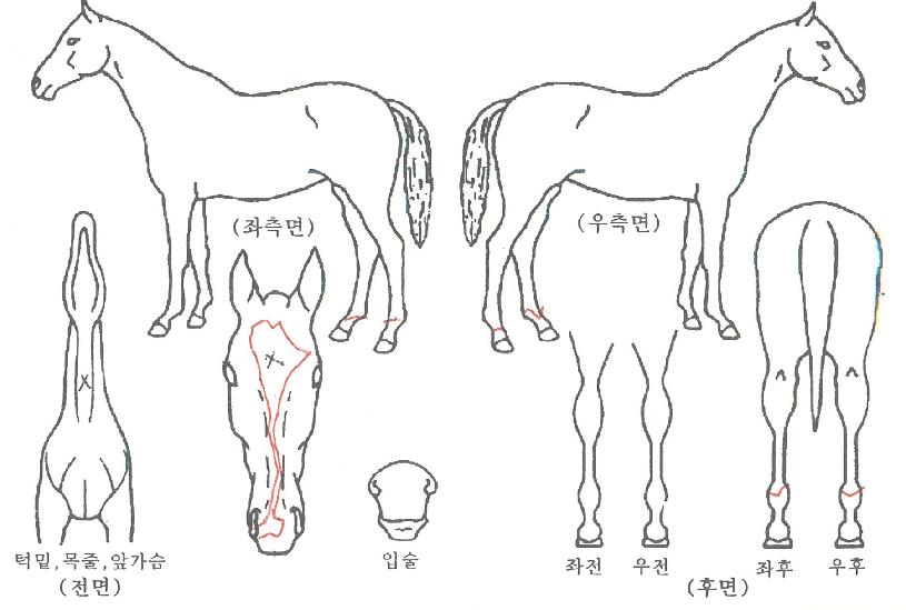 �ð��� ����,���,�޸�,�λ�,�ٸ��� Ư¡����