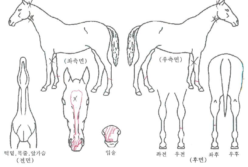 ��������Ʈ���� ����,���,�޸�,�λ�,�ٸ��� Ư¡����