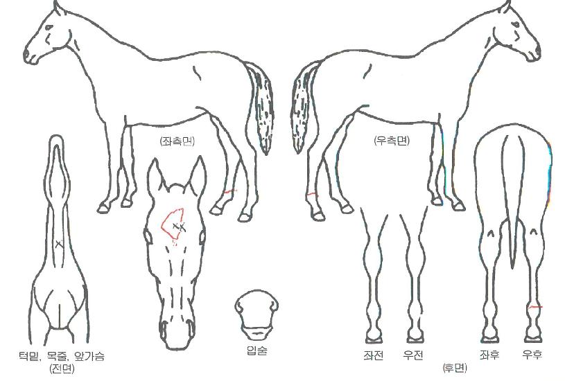 �ƶ��ư����� ����,���,�޸�,�λ�,�ٸ��� Ư¡����