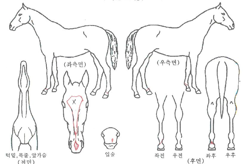 ¾÷µ¥ÀÌÆ®ÀÇ Ãø¸é,¿ì¸é,µÞ¸é,µÎ»ó,´Ù¸®ÀÇ Æ¯Â¡µµÇØ