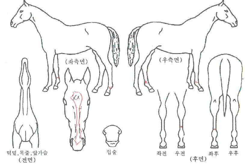 �������� ����,���,�޸�,�λ�,�ٸ��� Ư¡����