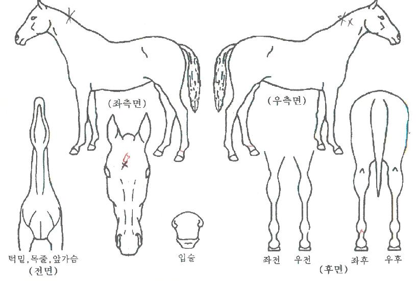 ü����ĭ�� ����,���,�޸�,�λ�,�ٸ��� Ư¡����