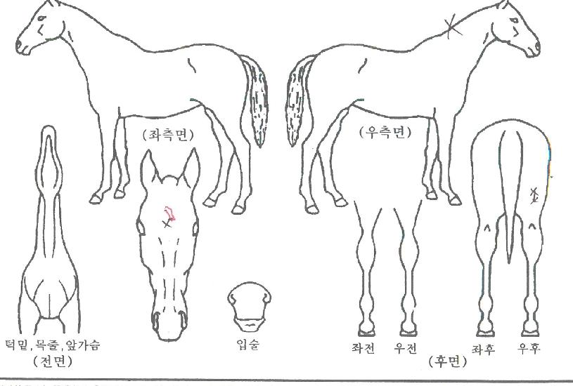 �����ũ�� ����,���,�޸�,�λ�,�ٸ��� Ư¡����