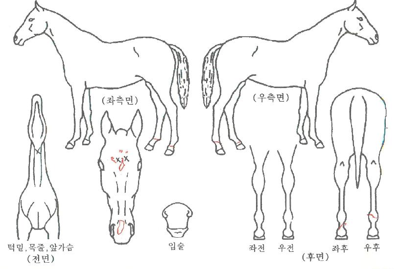 ū������ ����,���,�޸�,�λ�,�ٸ��� Ư¡����