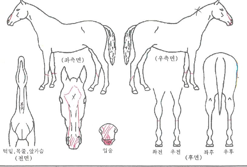 Ŭ�����屺�� ����,���,�޸�,�λ�,�ٸ��� Ư¡����