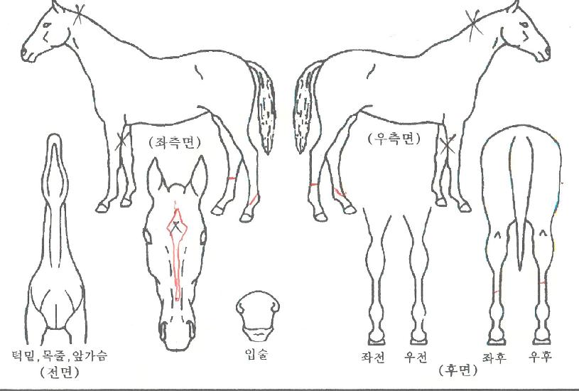 �÷���Ʈ������ ����,���,�޸�,�λ�,�ٸ��� Ư¡����