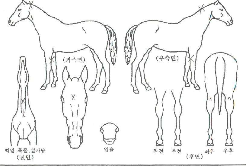 ���¾��� ����,���,�޸�,�λ�,�ٸ��� Ư¡����