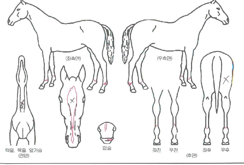 �̶�Ŭ��Ÿ�� ����,���,�޸�,�λ�,�ٸ��� Ư¡����