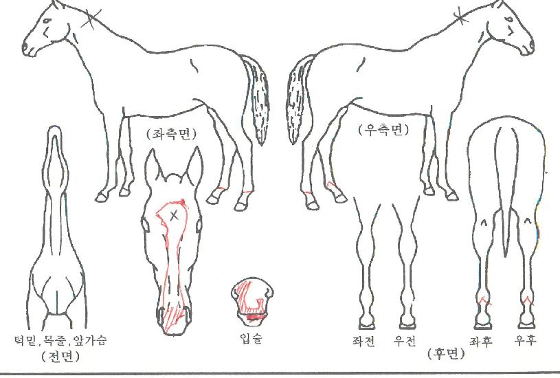 �������� ����,���,�޸�,�λ�,�ٸ��� Ư¡����