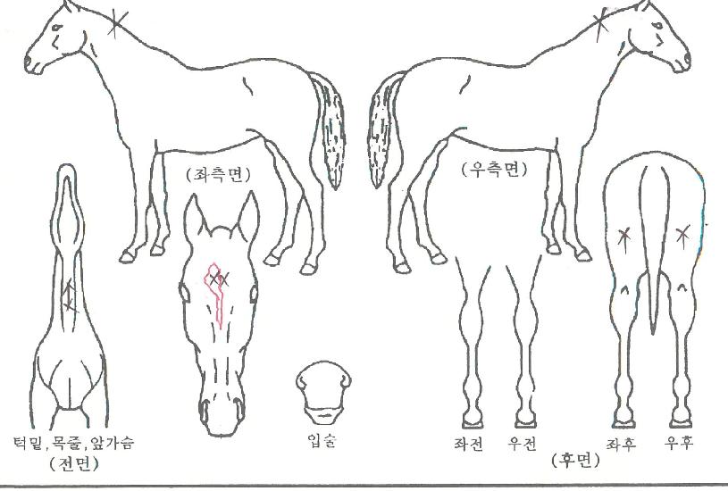 ������Ʈ����� ����,���,�޸�,�λ�,�ٸ��� Ư¡����