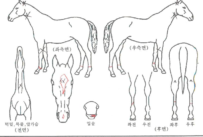 ���丮������ ����,���,�޸�,�λ�,�ٸ��� Ư¡����