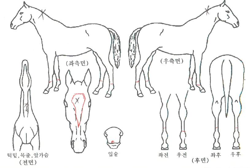 �������� ����,���,�޸�,�λ�,�ٸ��� Ư¡����