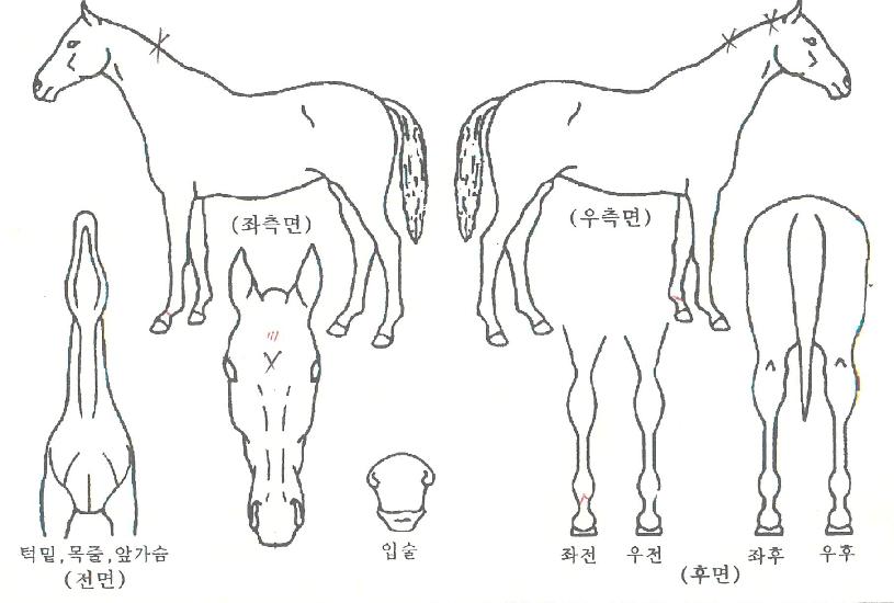 ���������� ����,���,�޸�,�λ�,�ٸ��� Ư¡����