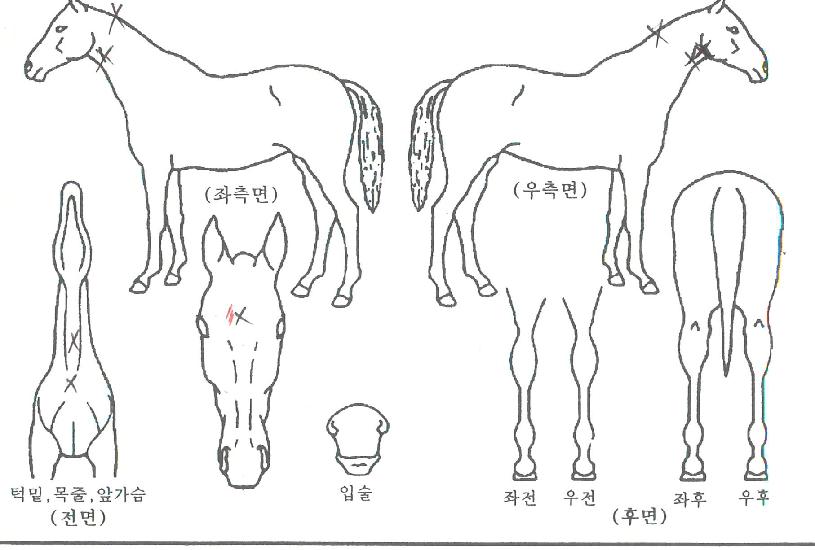 ����Ʈ������ ����,���,�޸�,�λ�,�ٸ��� Ư¡����