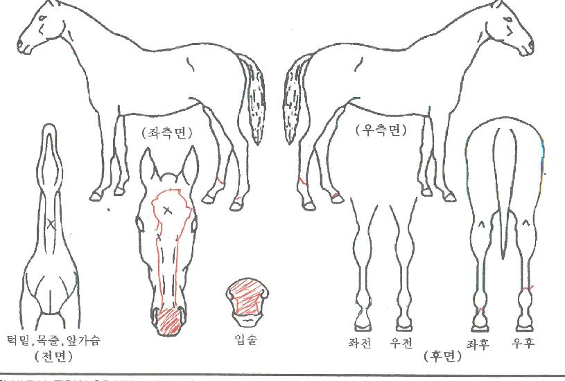 û�谭���� ����,���,�޸�,�λ�,�ٸ��� Ư¡����