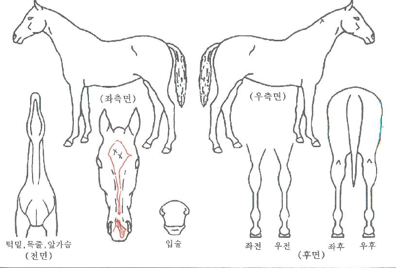 ��Ʈ������ ����,���,�޸�,�λ�,�ٸ��� Ư¡����