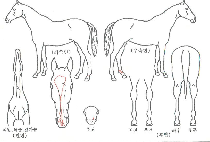 �ʵ������� ����,���,�޸�,�λ�,�ٸ��� Ư¡����