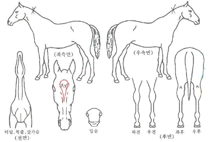 ���������� ����,���,�޸�,�λ�,�ٸ��� Ư¡����