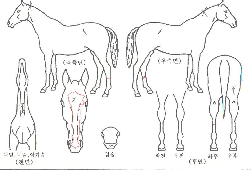 è������ ����,���,�޸�,�λ�,�ٸ��� Ư¡����