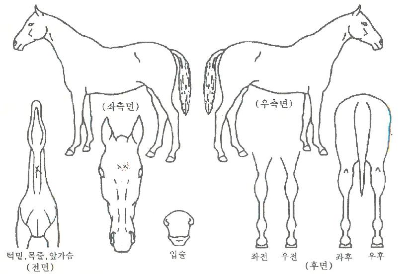 Ű������ ����,���,�޸�,�λ�,�ٸ��� Ư¡����