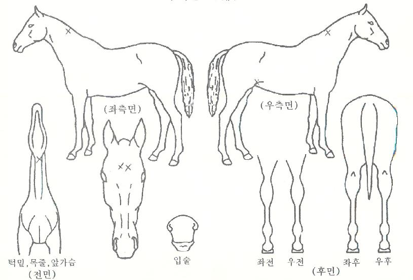 ���̽������� ����,���,�޸�,�λ�,�ٸ��� Ư¡����