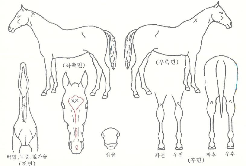 ����Ƽ��ĳ�����ڸ��� ����,���,�޸�,�λ�,�ٸ��� Ư¡����