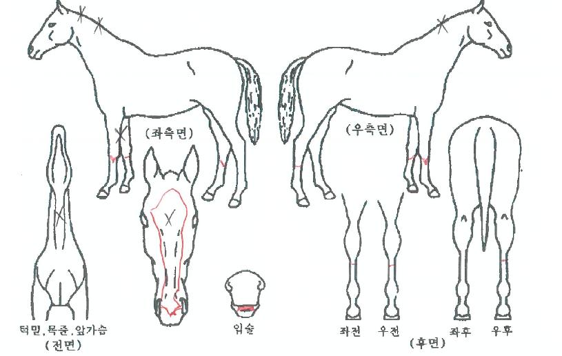 ��������� ����,���,�޸�,�λ�,�ٸ��� Ư¡����