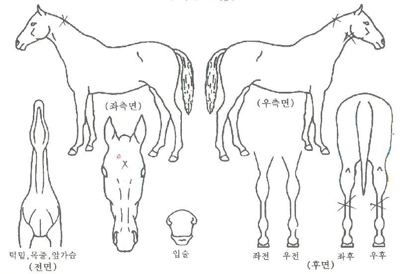 �̽������� ����,���,�޸�,�λ�,�ٸ��� Ư¡����